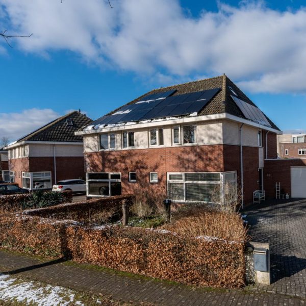 10d1acf9 015d 4133 89d7 f54549c20811 600x600