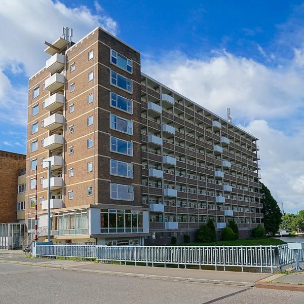 8e89e7ae 015b 45fd b0c9 6cd0993e55f7 600x600