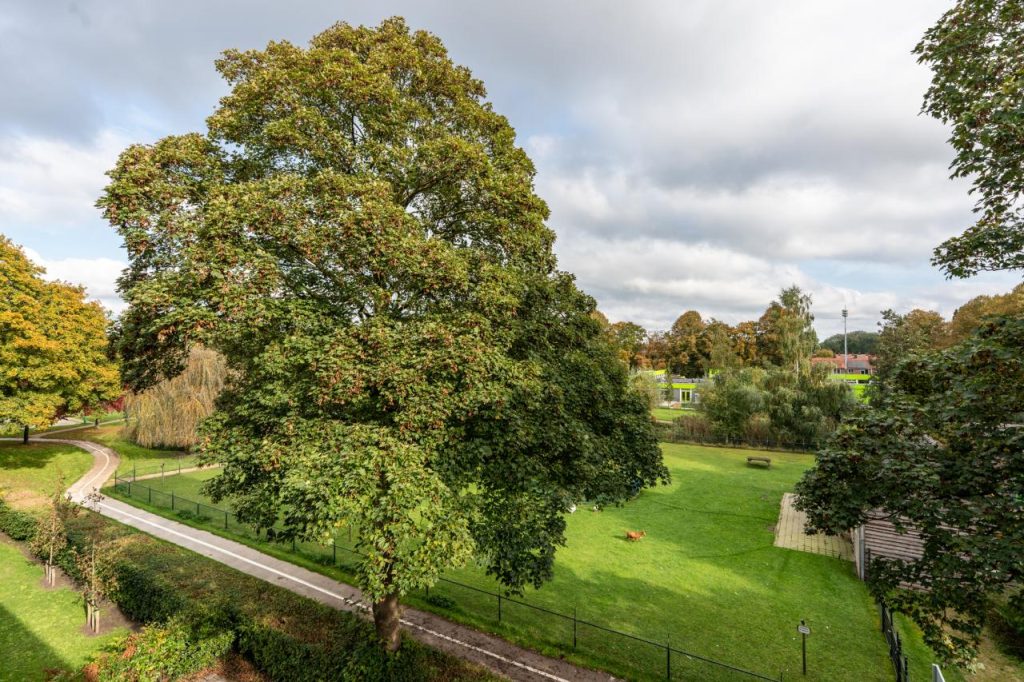 Appartement te koop: van Linschotenstraat 71, Hoogezand